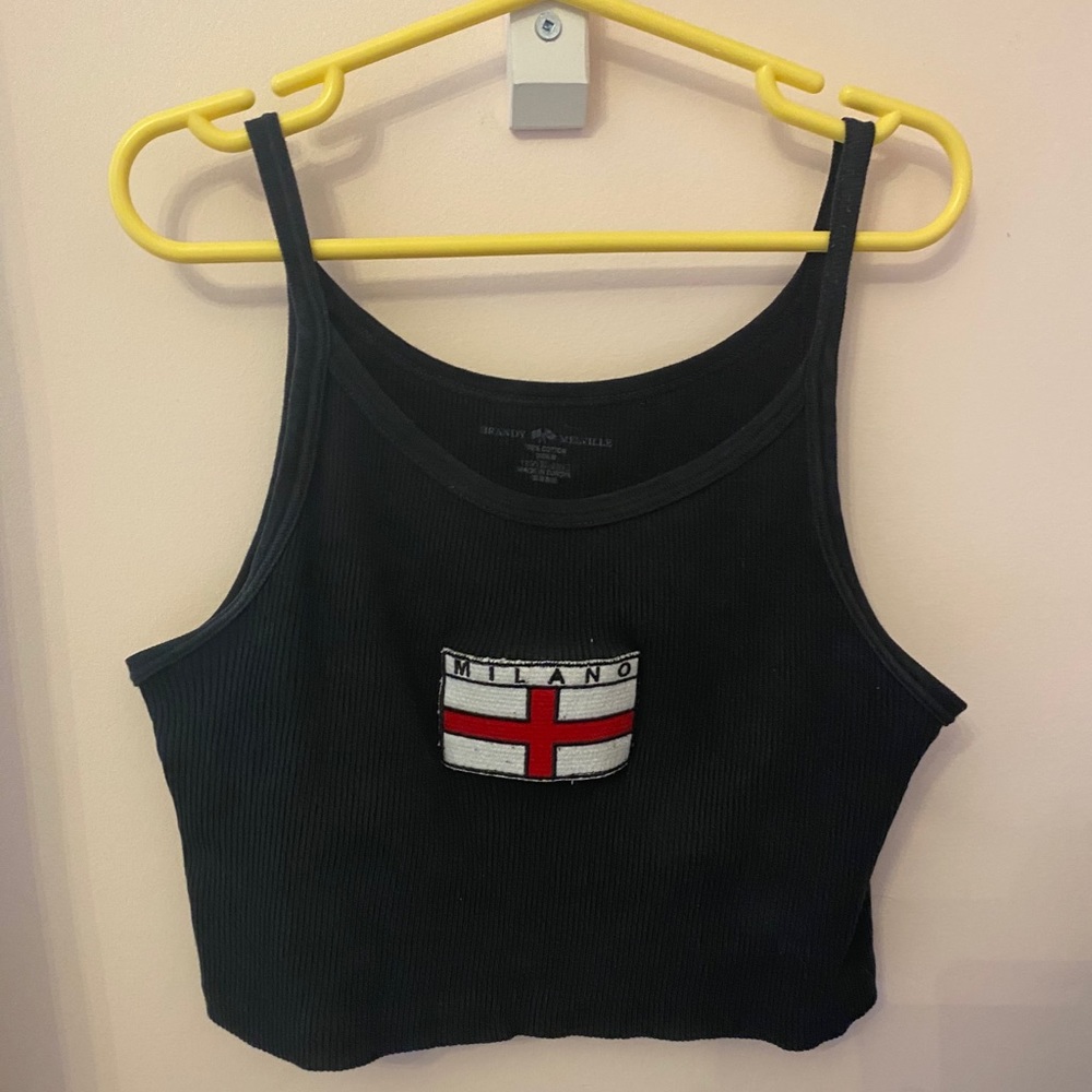Brandy Melville crop top